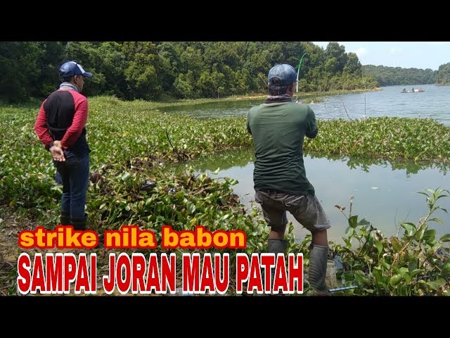 Mancing ikan nila  paling seru"bersama pemancing liar.