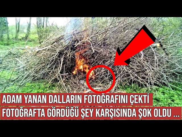 Fotoğrafçı Yanan Dalların Fotoğrafını Çekti, Kamerasına Baktığında Öyle Bir Şey Gördü ki