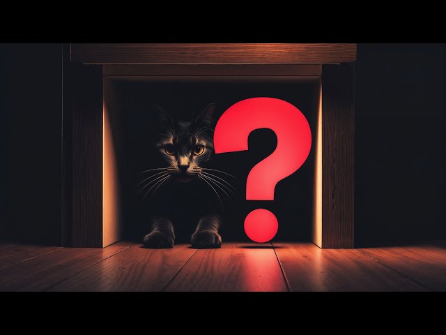 Why do CATS HIDE WHEN SICK? - Cat Behavior Explained