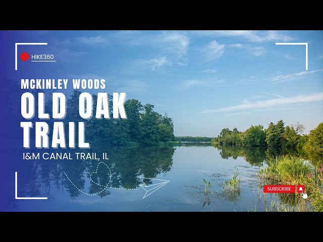 I&M Canal Trail, IL - Old Oak Trail, McKinley Woods (Hike 360° VR Video)