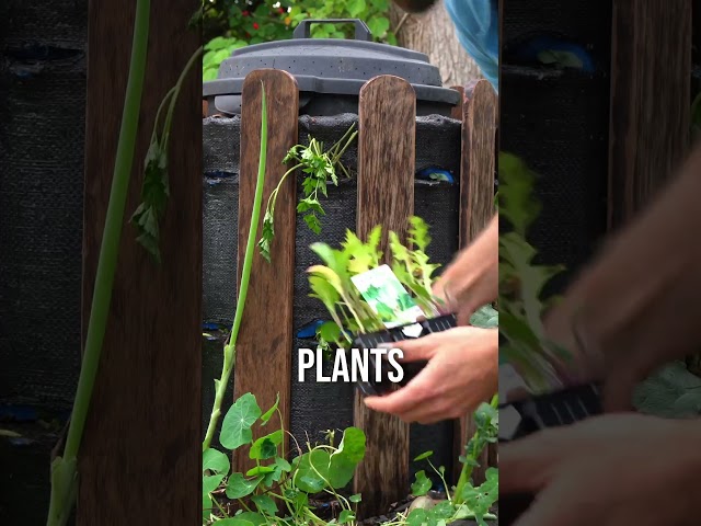 Make a DIY worm farm in 30 seconds! #wormfarm #vermicomposting #compostingworms #wormcastings