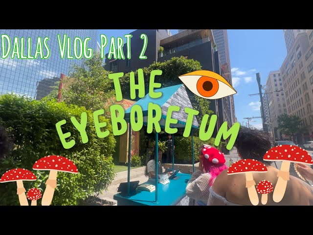 #dallas #vlog part 2