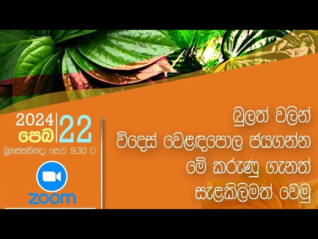 බුලත්වලින් විදෙස් වෙළඳපොල ජයගන්න වැදගත් වන කරුණු