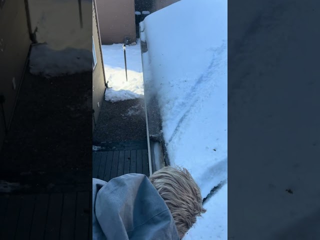 Gutter ice cleared out