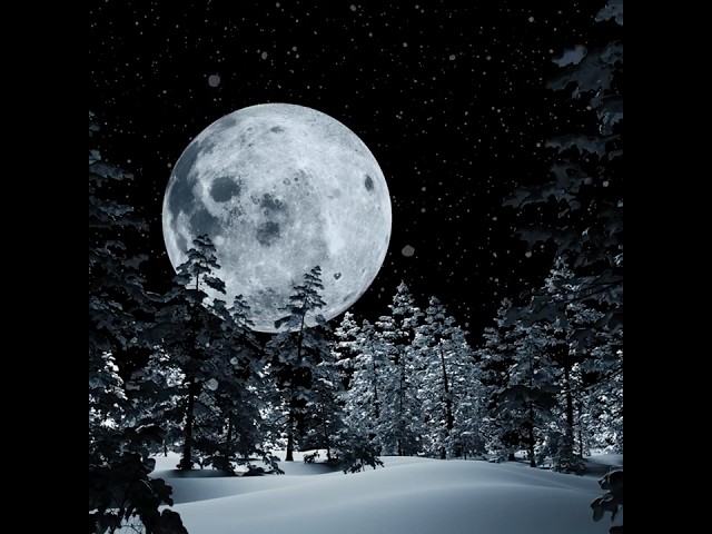 Full Snow Moon February 12, 2025