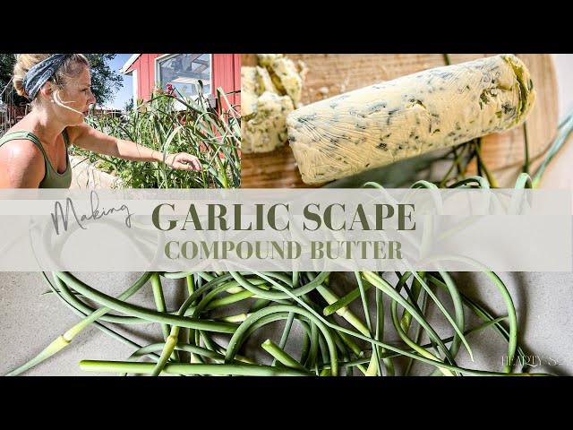 How to Make Garlic Scape Compound Butter