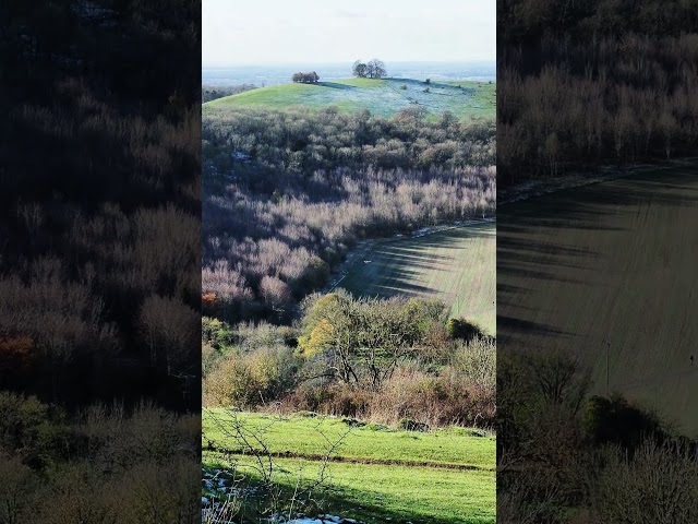 Coombe Hill Autumn Views Nov '24