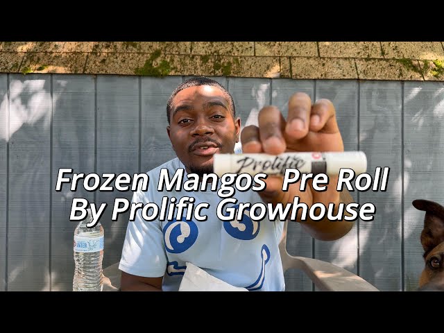 Frozen Mangos Pre-Roll by Prolific Growhouse Review