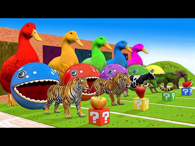 Funny Animals 3d Paint Animals Ducks Cow Cat Rat Roster Elephant, Dinosaur, Tiger, Lion