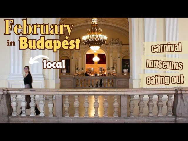 What to do in BUDAPEST during the cold days? Local's guide to Budapest ☕︎