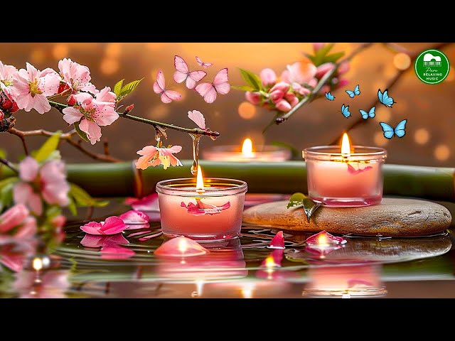 Relaxing Spa Music 🌿 Beautiful Peaceful, Bamboo Water Sounds, Calm Music, Meditation, Nature Sounds