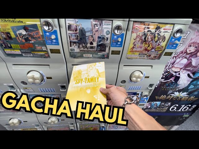 GACHA HAUL at Yodobashi Akiba (Akihabara) Tokyo - Spy Family, Chiikawa etc ヨドバシ ガシャ スパイファミリー ちいかわ