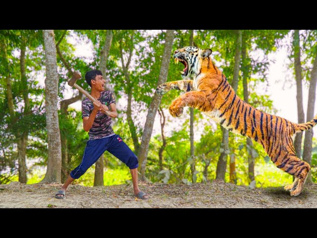 Tiger Attack Man In The Forest | Tiger Attack In Jungle, Royal Bengal Tiger Attack | Part 40