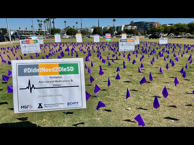 International Overdose Awareness Day