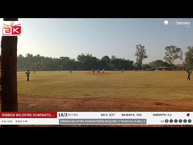 Trailblazers vs Ribbon WildFire Dominatorss Live Cricket Match | Ribbon Premier League 2025 Live - B