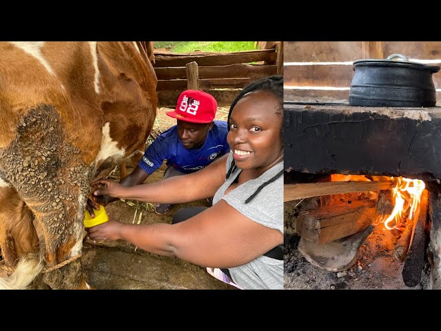 African Village Life/Cooking Most Popular Common Traditional Village food/Breakfast,Milking by hand