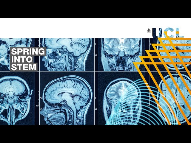 Next generation X-ray vision: the advent of multi-contrast x-ray imaging techniques