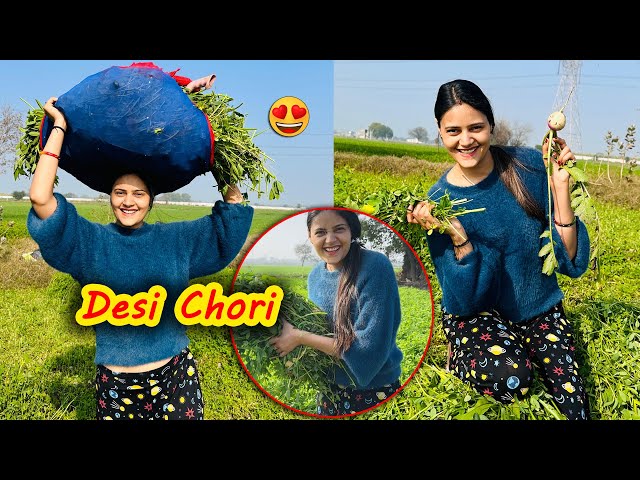 Apne Gaon Mai Kiya Khet Ka Kaam😍 | Jyoti Thakur Vlogs