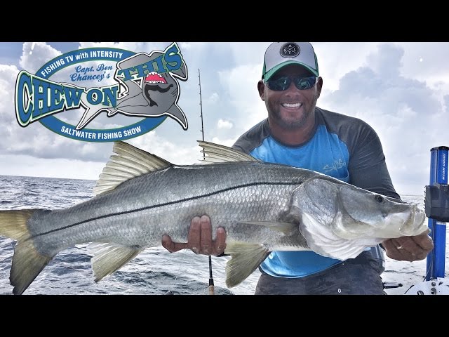 Best Snook Fishing Video - Saltwater Fishing Most Popular - Amazing Florida Fishing - Catching Snook