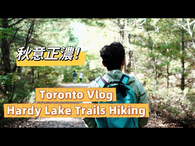 Toronto多伦多 Vlog | Hardy Lake Trails Hiking | 赏枫叶 | 打工人周末日常 | 长周末去哪？