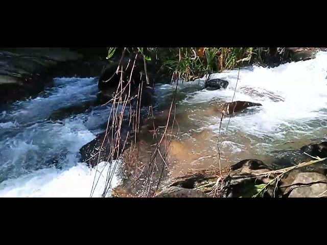 mini waterfall/ බුලත්සිංහල