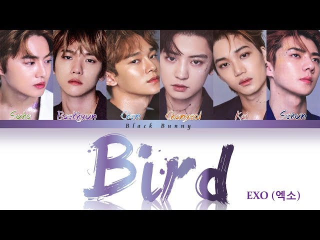 EXO (엑소) - BIRD (Color Coded Lyrics Kan/Rom/Eng/歌詞)