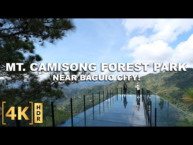 The NEWEST ATTRACTION Near BAGUIO is Now Open! Mt. Camisong Forest Park | First-Ever Glass Walkway!