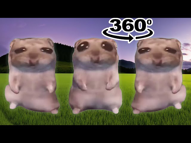 damn mommy i just wanna hamster meme 360º