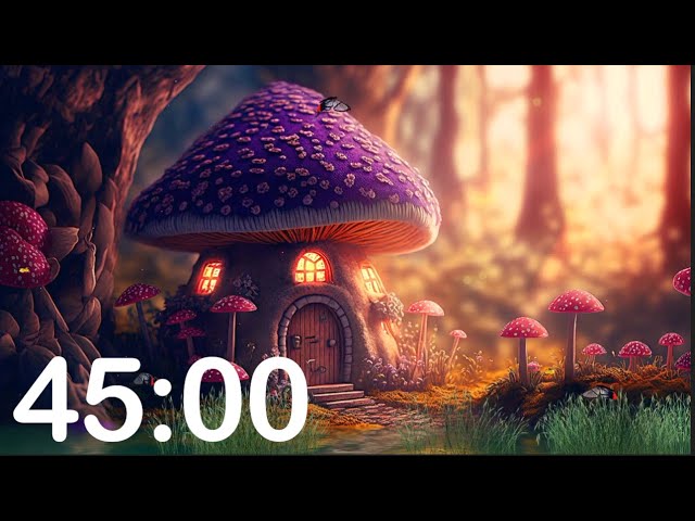 45 minute timer countdown with relaxing lofi music