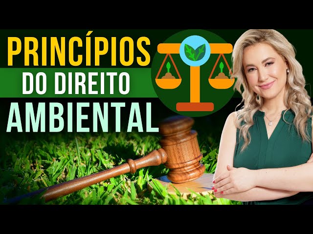 Princípios do DIREITO AMBIENTAL - Prevenção, Precaução, Poluidor-Pagador, etc…