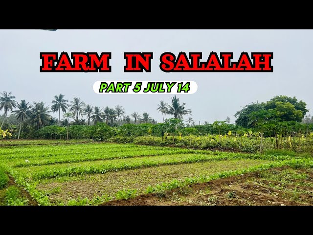 Salalah Trip….Part 5 and Last Bye bye Salalah….#abhiscafe