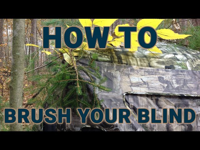 Hunting tip: How to brush out your blind