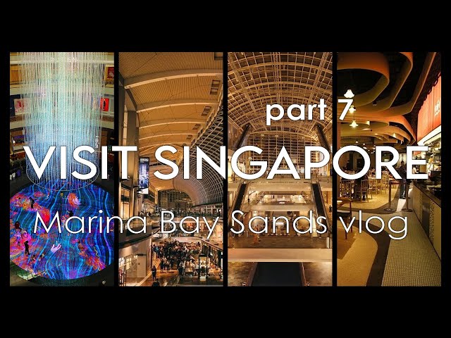 VISIT SINGAPORE VLOG Part 7 | The Shoppes at Marina Bay Sands, Hawker Centre, Shopping Mall 🇸🇬