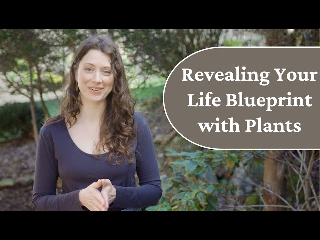 Revealing Your Life Blueprint with Plants