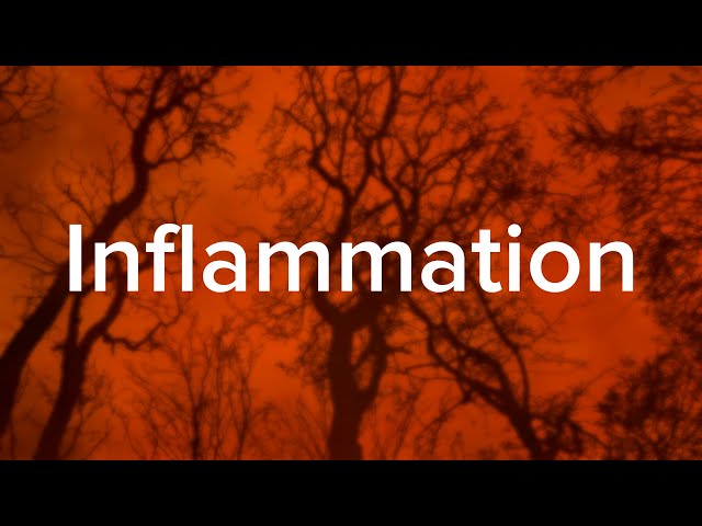 How Inflammation Affects Your Health - Yale Medicine Explains