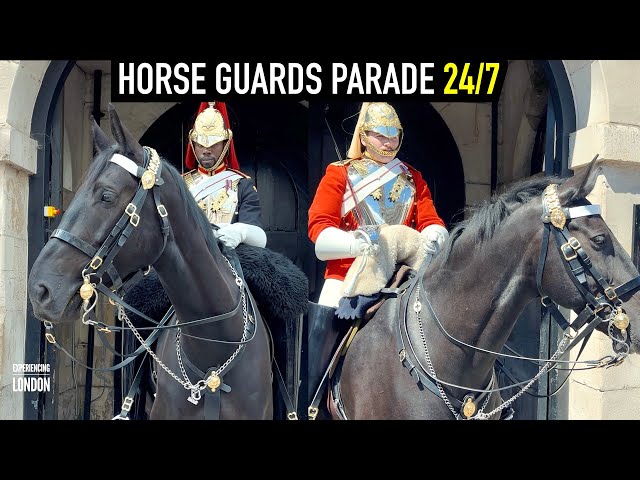 Royal Guard & Horse 24/7 Live Stream | Horse Guards, Royal guard, Kings Guard, Horse, London, 2024