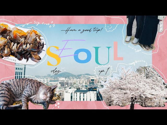 Seoul! A Magical Journey Chasing Cherry Blossoms and Soy Sauce Crabs! | Korea Travel Vlog 🇰🇷 | EP. 1