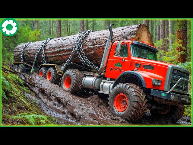 Extreme Big Logging Wood Truck Transport Skills | Biggest Heavy Machinery Machines #4