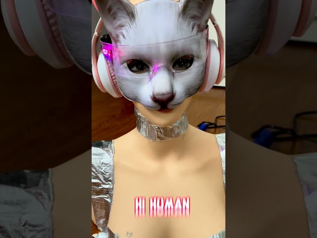 Hi Human 🤖 Im Meo 😹 AI Cat Bot #aibot #chatgpt #aicat