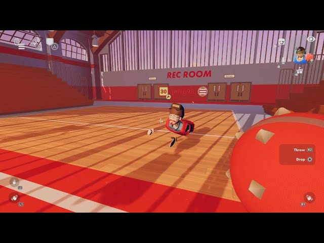 Rec Room dogeball