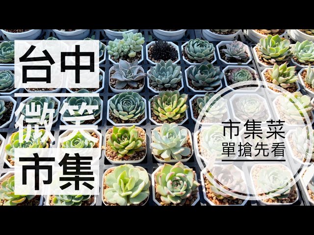 劉家花園—多肉植物市集菜單｜台中微笑聖誕市集｜仙人掌、龍舌蘭、多肉植物市集｜