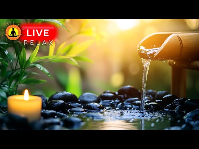 🔴 Relaxing Music for Sleep 24/7 🌿3129, Healing Meditation Music, Calm Music, Spa Zen, Water Sounds