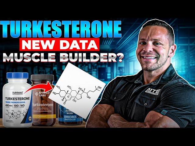 Turkesterone NEW Data - Does it Actually Build Muscle