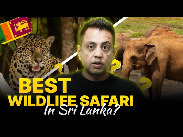 UDAWALAWE or YALA: Which is the best JUNGLE SAFARI in SRI LANKA? 🇱🇰