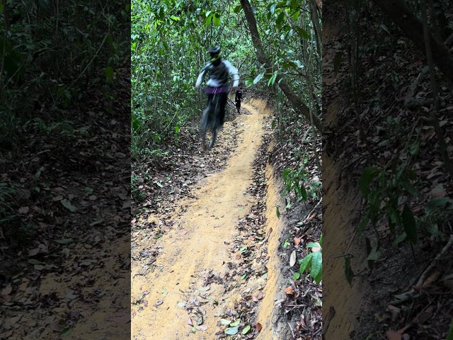 📍Trilha da Raiz Rampa nova igarassu #Downhill #mtb #bikelife #monjopefreeride #freeride #enduro