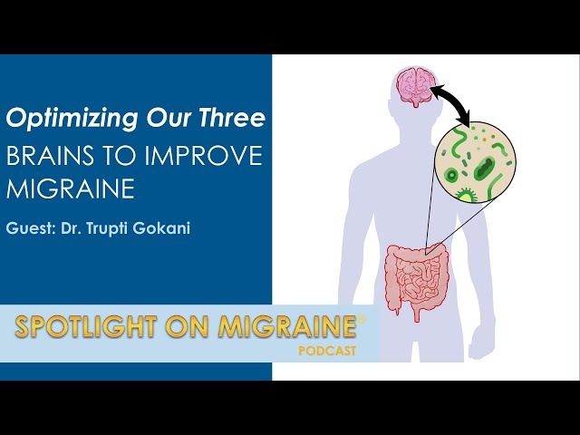 Optimizing Our Three Brains to Improve Migraine - Spotlight on Migraine S3:Ep29