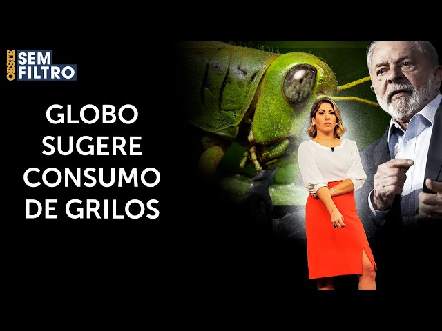 Globo incentiva consumo de grilos para substituir carnes e ovos: 'Nutritivo'