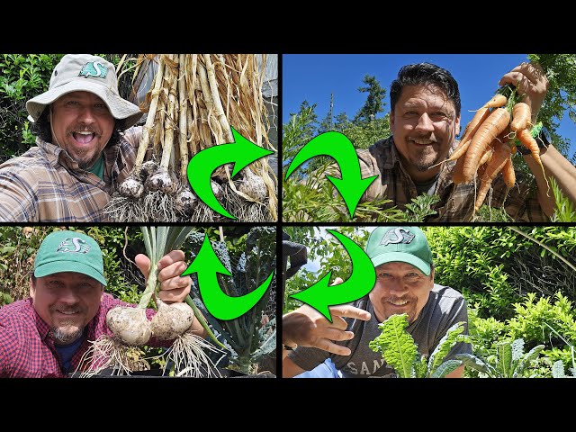 Crop Rotation Explained - Garden Quickie Episode 224