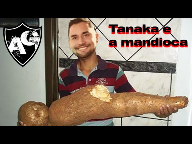 TANAKA E A MANDIOCA - CORTES ARQUIBANCADA DO GALO