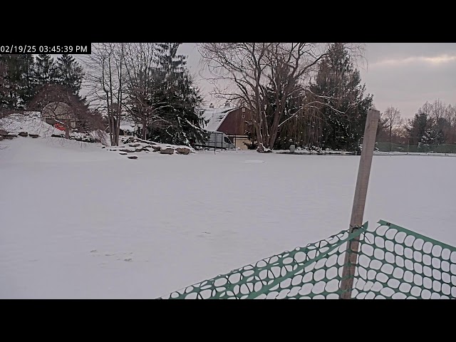 Rusty Oak Nursery Pond Cam | Medina, OH